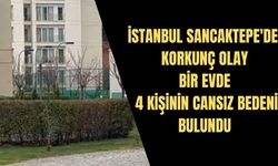 İstanbul'da bir evde 4 kişinin cansız bedeni bulundu