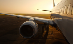 Sabiha Gökçen'de yolcu uçağı tavşana çarptı! Kule ile pilot arasındaki konuşma ortaya çıktı