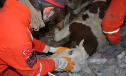 11 gün sonra enkazdan kurtarılan Bircan'ı kaybettik!