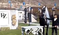 Kayseri'de iki cins at için nikah töreni düzenlendi