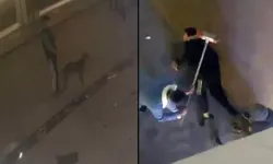 İstanbul'da Pitbull 13 yaşındaki çocuğa saldırdı