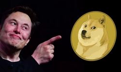 Twitter'ın kuş logosu köpek logosuna döndü! Elon Musk ne yapmaya çalışıyor?