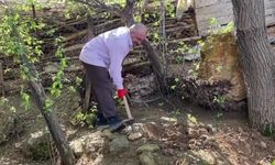 Amasya'da yerin altında 4 yıl sakladı kimse inanmayınca 5 yıllığına bir daha gömdü