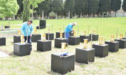 Soma Maden Şehitliği'nde çalışmalar devam ediyor