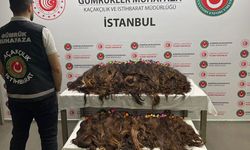 Sabiha Gökçen Havalimanı'nda 68 kilogram insan saçı ele geçirildi