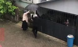 Yağmurda mahsur kalan kediyi kurtaran karı kocanın videosu viral oldu