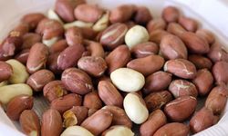 Yer fıstığı yaşlılıkta zihin sağlığını korumaya yardımcı olabilir