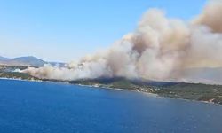 İzmir'de orman yangını! Havadan ve karadan müdahale ediliyor