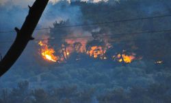 Manisa'daki orman yangını 2 gündür devam ediyor