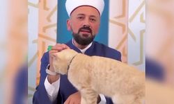 Cami imamının kedi sevgisi gündem oldu