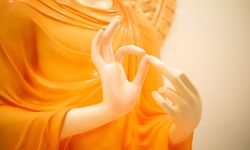 Mudra nedir? hangi Mudra neyi simgeler?