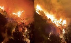 Antalya'da makilik ve ağaçlık alanda yangın