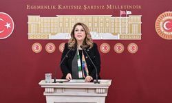 CHP Milletvekili Elvan Işık Gezmiş: İlaca ulaşmak her geçen gün zorlaşıyor