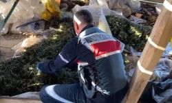 Samsun'da 22 kilo 755 gram kubar esrar ele geçirildi