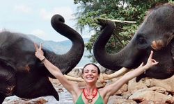 Rabia Soytürk'ün Phuket tatilinde fillerle keyifli anları