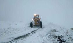 Bingöl'de 15 köy yolu kar nedeniyle ulaşıma kapandı