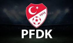 PFDK, Günay Güvenç’e 2 maç ceza verdi