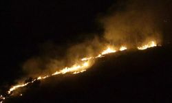 Trabzon'da orman yangını çıktı!