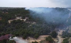 Denizli’de piknik ateşi yangına yol açtı