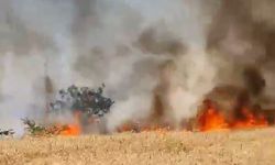 Edirne'de Buğday tarlası alev alev yandı