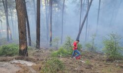 Burdur’da çıkan orman yangınında 10 dekar alan yandı