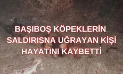 Başıboş köpeklerin saldırısına uğrayan kişi hayatını kaybetti