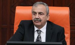 Sırrı Süreyya Önder hayatını kaybetti: Kalp krizi sonrası vefat etti