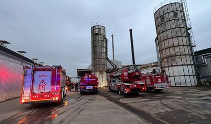 Düzce’de ahşap fabrikasında korkutan yangın!
