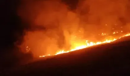 Muğla Bodrum'da korkutan yangın!