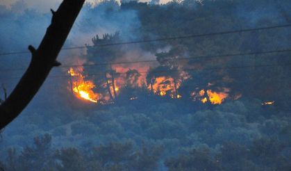 Manisa'daki orman yangını 2 gündür devam ediyor
