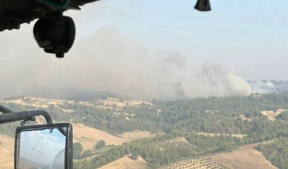 Adana'da orman yangını meydana geldi