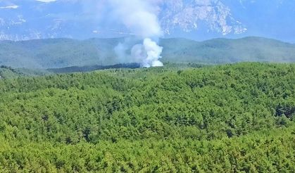Muğla'nın Ula ilçesinde orman yangını