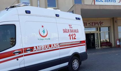 Mardin’de tırın çarptığı şahıs hayatını kaybetti