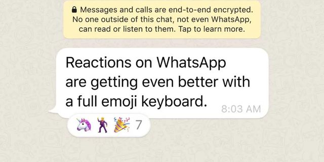 WhatsApp mesajlara emoji ile cevap verme özelliğini güncelledi!