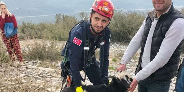 Kayalıklarda mahsur kalan keçiyi itfaiye ekipleri kurtardı