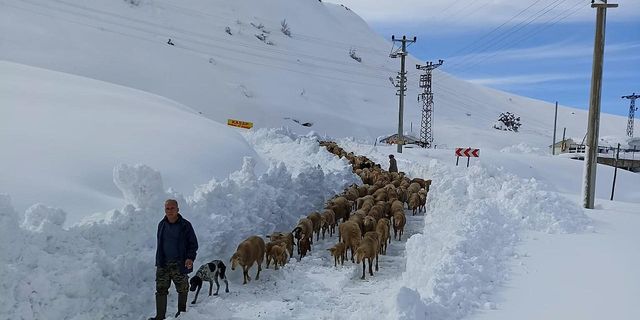 Antalya'da yaylada koyunlarıyla birlikte 3 gün mahsur kalan aileyi ekipler kurtardı