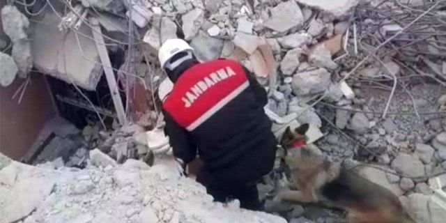 Osmaniye'de Dedektör köpeklerlerin yardımıyla 6 cenazeye ulaşıldı