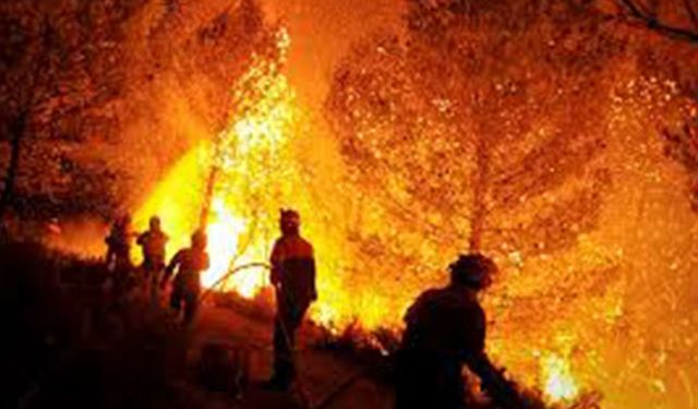 İspanya'da orman yangını nedeniyle 600 kişi tahliye edildi