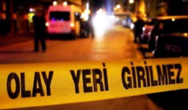 Aydın'da iki aile arasında kavga çıktı! 11 yaralı