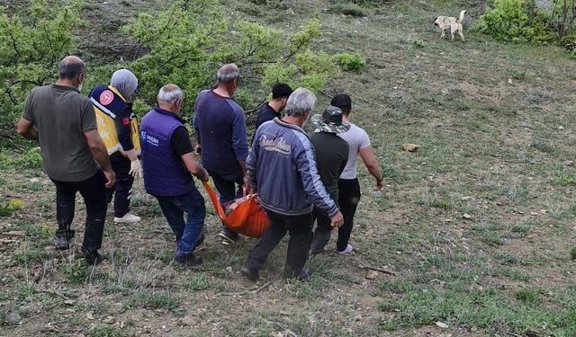 Tunceli’de ayının saldırısına uğrayan adam yaralandı