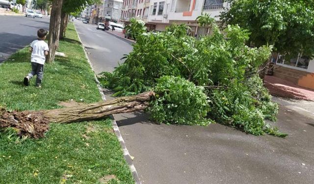 Meteorolojiden kuvvetli rüzgâr uyarısı