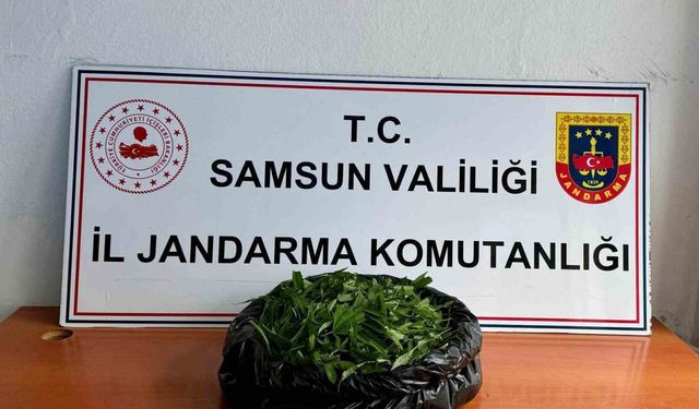 Jandarma 5.5 kilo kubar esrar ele geçirdi