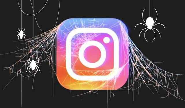 Instagram Erişim Yasağında Son Durum Nedir?