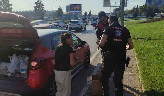 Bursa’da trafikte yavru kedi alarmı: Polisler 4 araca giren kediyi kurtardı