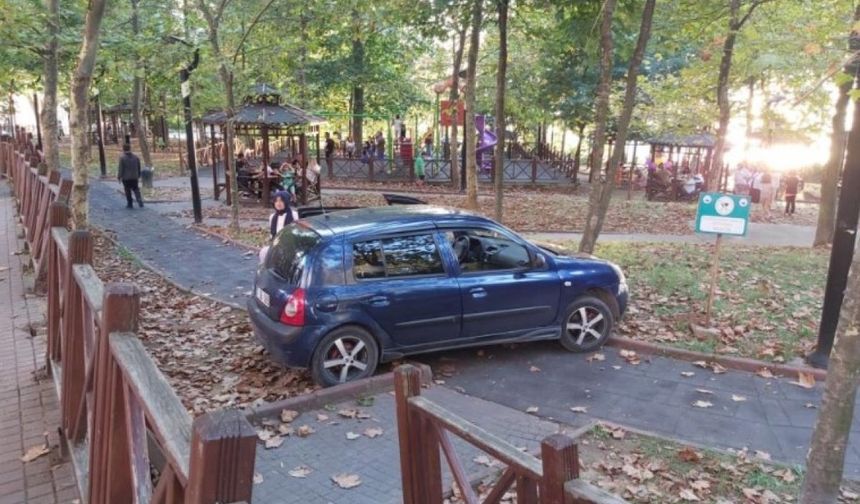 Zonguldak'ta fren yerine gaza basan sürücü parka girdi