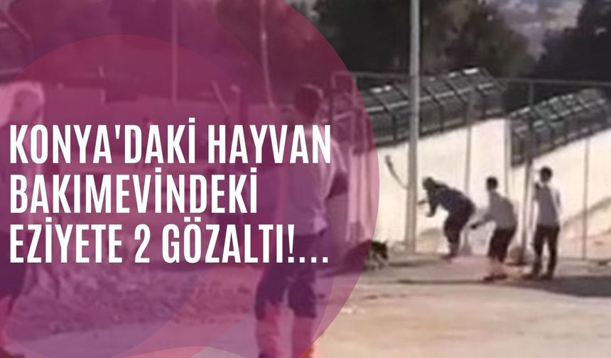 Konya'daki hayvan barınağında hayvanlara eziyet eden 2 şüpheli gözaltına alındı