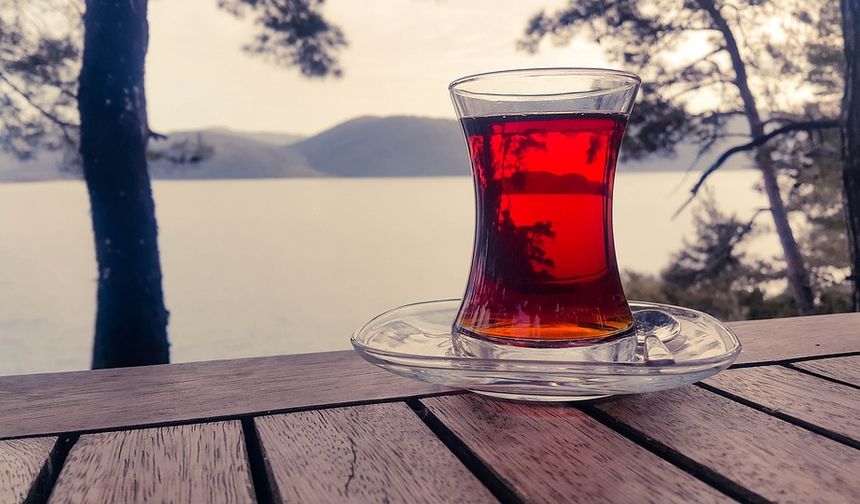 Konsantrasyonu ve odaklanmayı arttırıcı etkisi vardır. Damarlardaki kan dolaşımını düzenler.