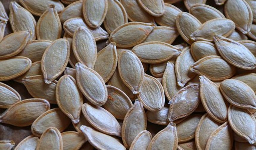 Kabak çekirdeği sperm kalitesini artırırken prostat içinde faydalıdır