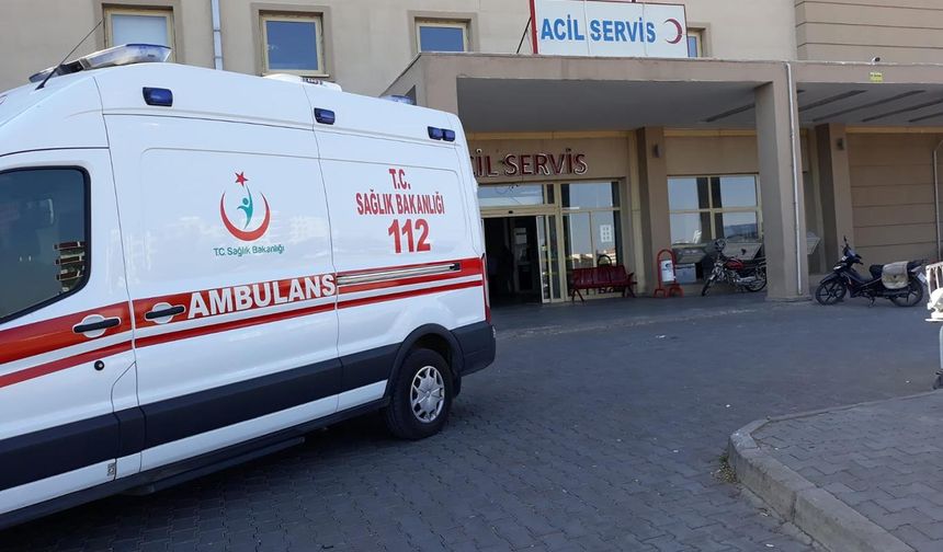 Şanlıurfa'da 2 otomobil çarpıştı: 2 yaralı