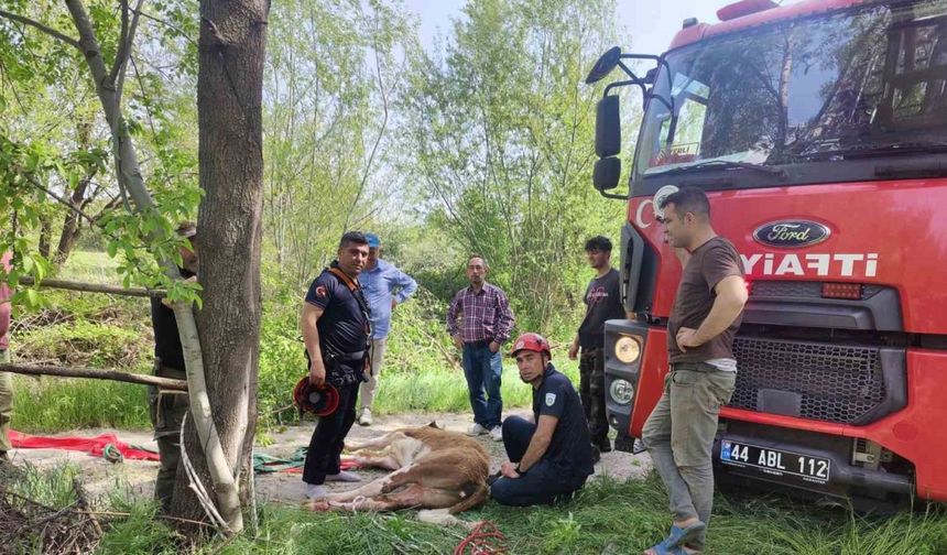 Malatya'da kuyuya düşen ineği itfaiye kurtardı